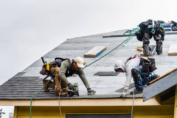 Professional Roofing technician working in Bellingham, MN